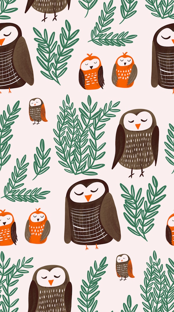 Owl Family