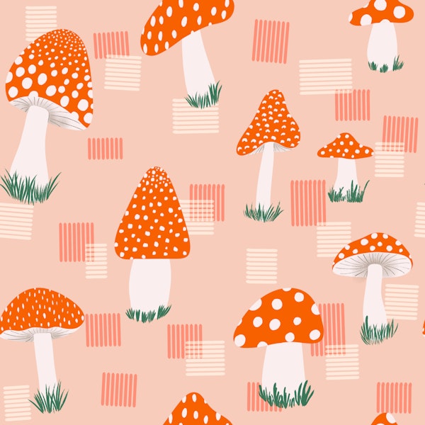 Toadstool Mushrooms