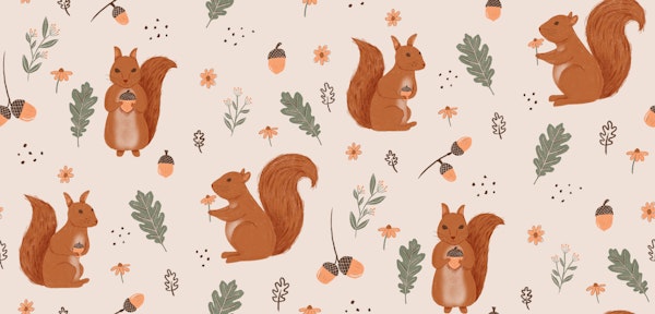 Squirrels in the woods