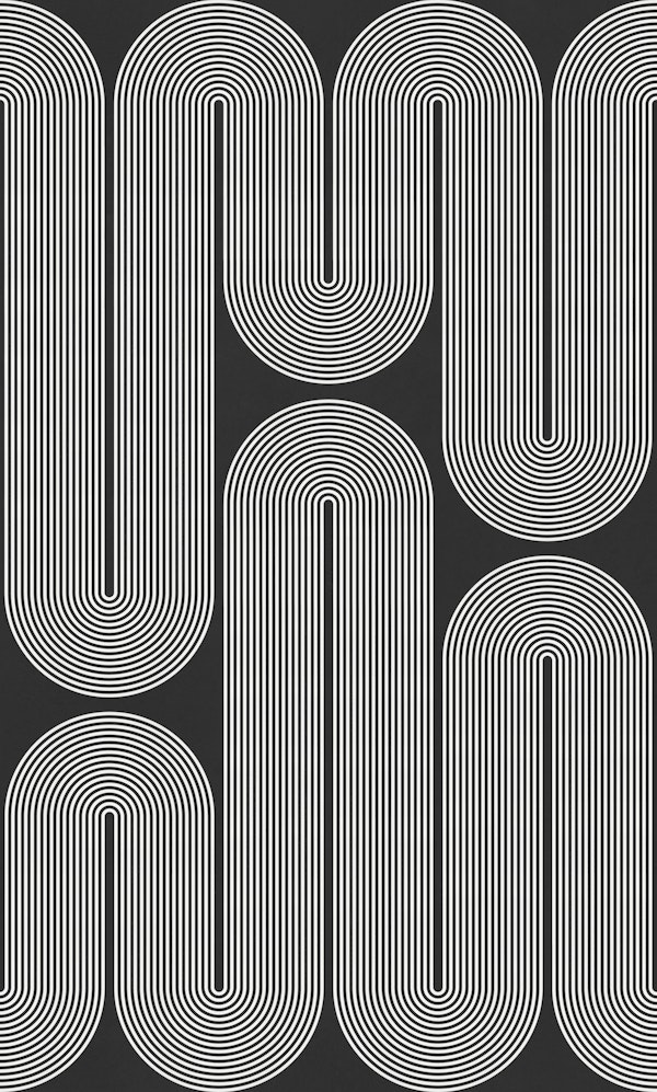 Black White Retro Groove Lines