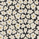 Midnight Daisy Bloom