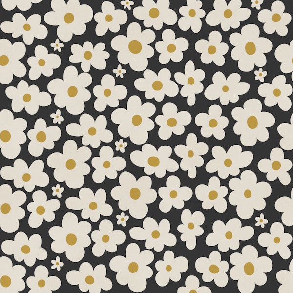Midnight Daisy Bloom