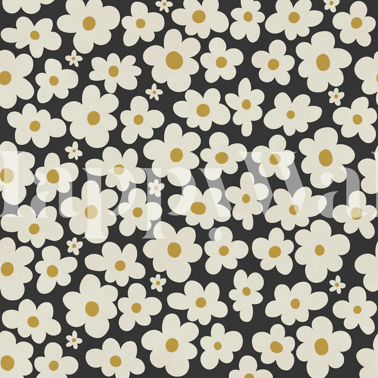 Daisy floral wallpaper in a room with dark background