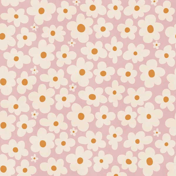 Pink Daisy Meadow