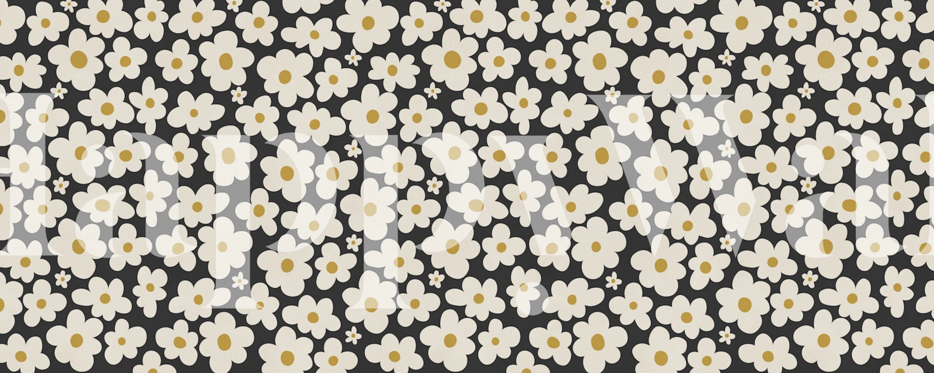 Retro daisy wallpaper in a room with black background