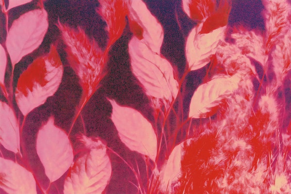 Neon Botanical Shadows