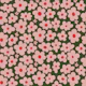 Pink Daisy Bloom Toss