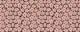 Retro Pink Daisy Scatter