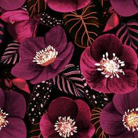 Midnight Dark Pink Flowers Pattern tapetas