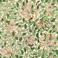 Honeysuckle in Original - Arts & Crafts wallpaper