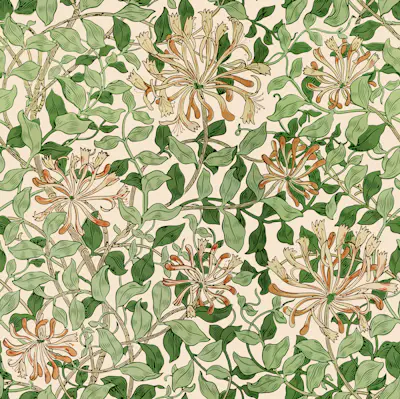 Pattern