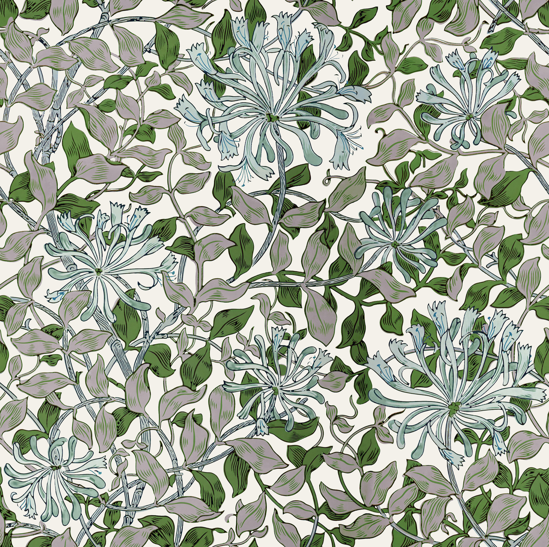 graywhite