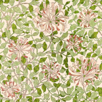 Honeysuckle in Pink Blush - Arts & Crafts wallpaper