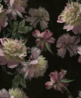 Fine Art Peonies - Ebony Cloth wallpaper