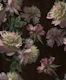 Fine Art Peonies - Espresso Cloth