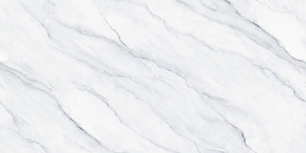 Soft White Marble Veins