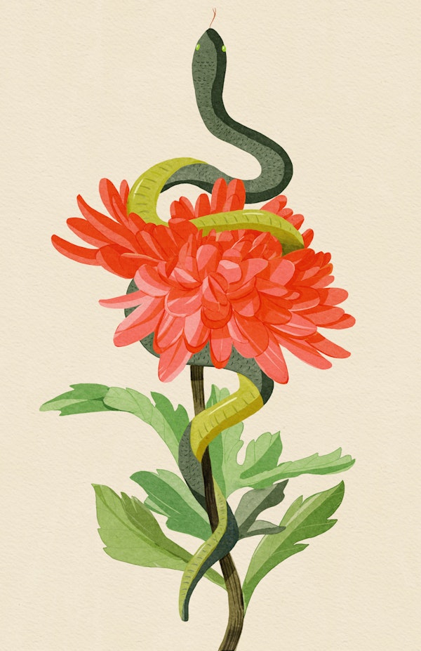Snake and Red Chrysanthemum