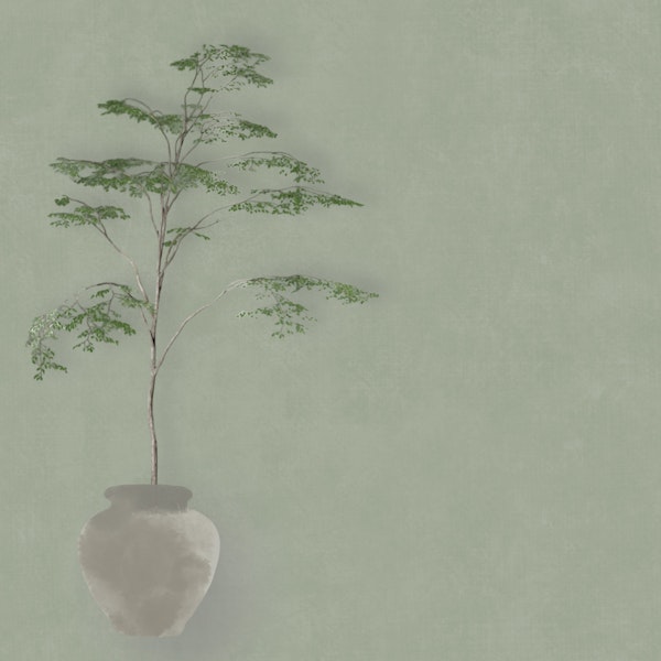 Japandi Tree in Pot - Sage Green