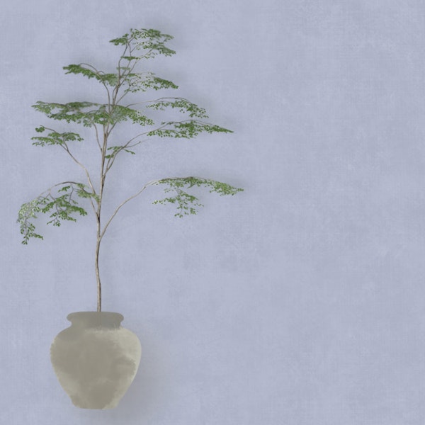 Japandi Tree in Pot - Misty blue