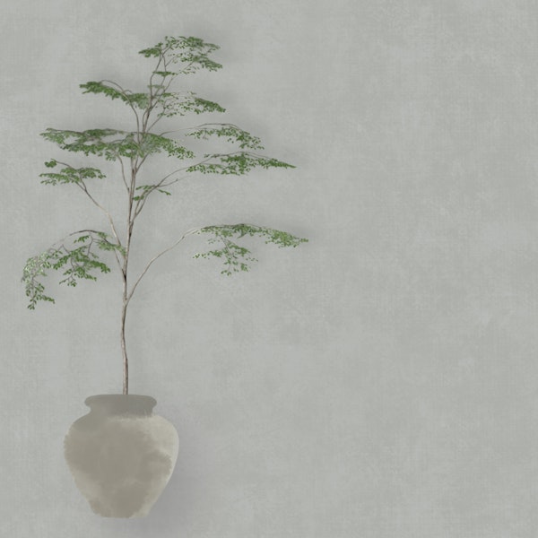 Japandi Tree in Pot - Greige