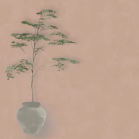 Japandi Tree in Pot - Terracotta tapet