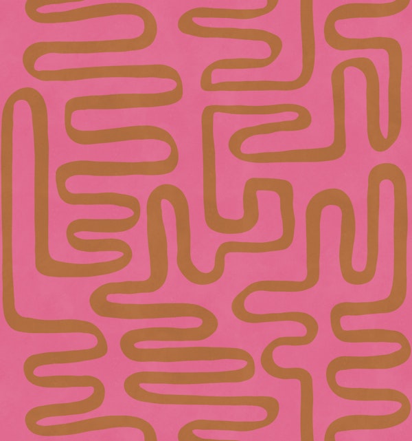 Pink Terracotta Squiggle Maze