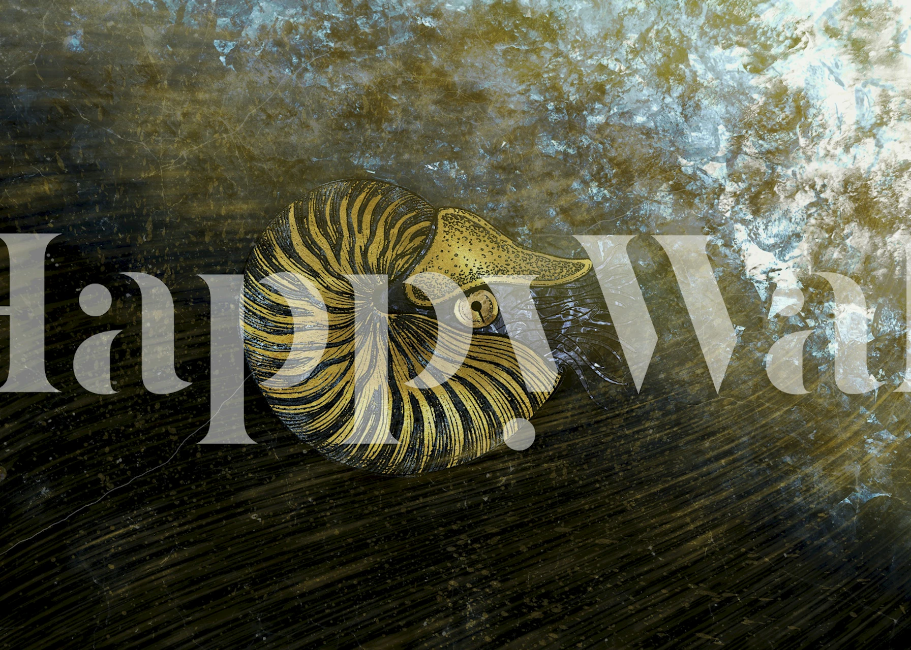 Gold nautilus shell wallpaper in a dark room