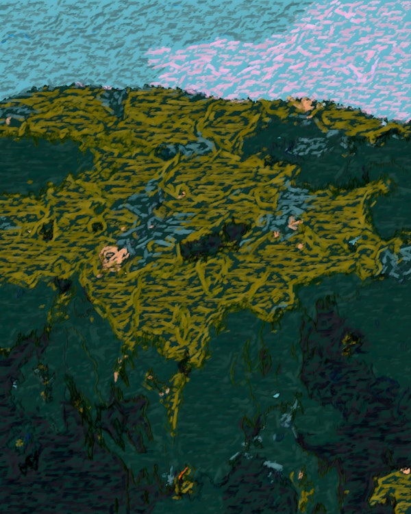 Interwoven Earth