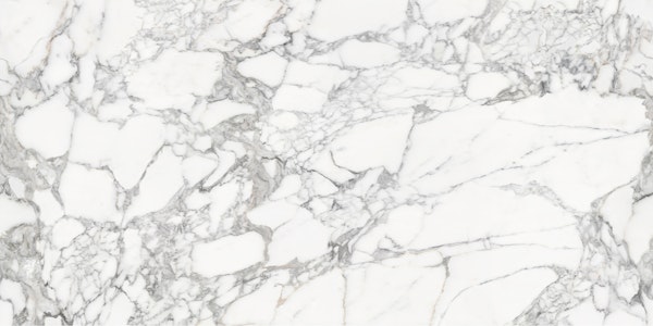 White Marble Gray Veins