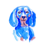 blue aristocrat - watercolor dachshund wallpaper
