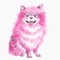 cheaky pom pom - pink handpainted pomeranian wallpaper