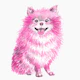 cheaky pom - pink handpainted pomeranian