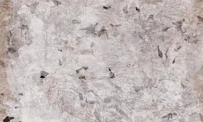 Muurschildering