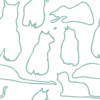 Munki and the Spot - Soft Teal wallpaper