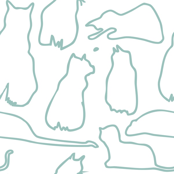 Munki and the Spot - Soft Teal