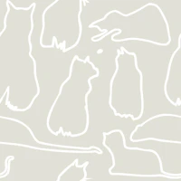 Munki and the Spot - Beige & Chalk wallpaper