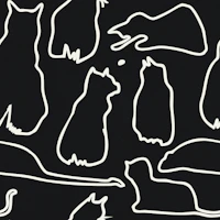 Munki and the Spot - Black Paper & Cream wallpaper