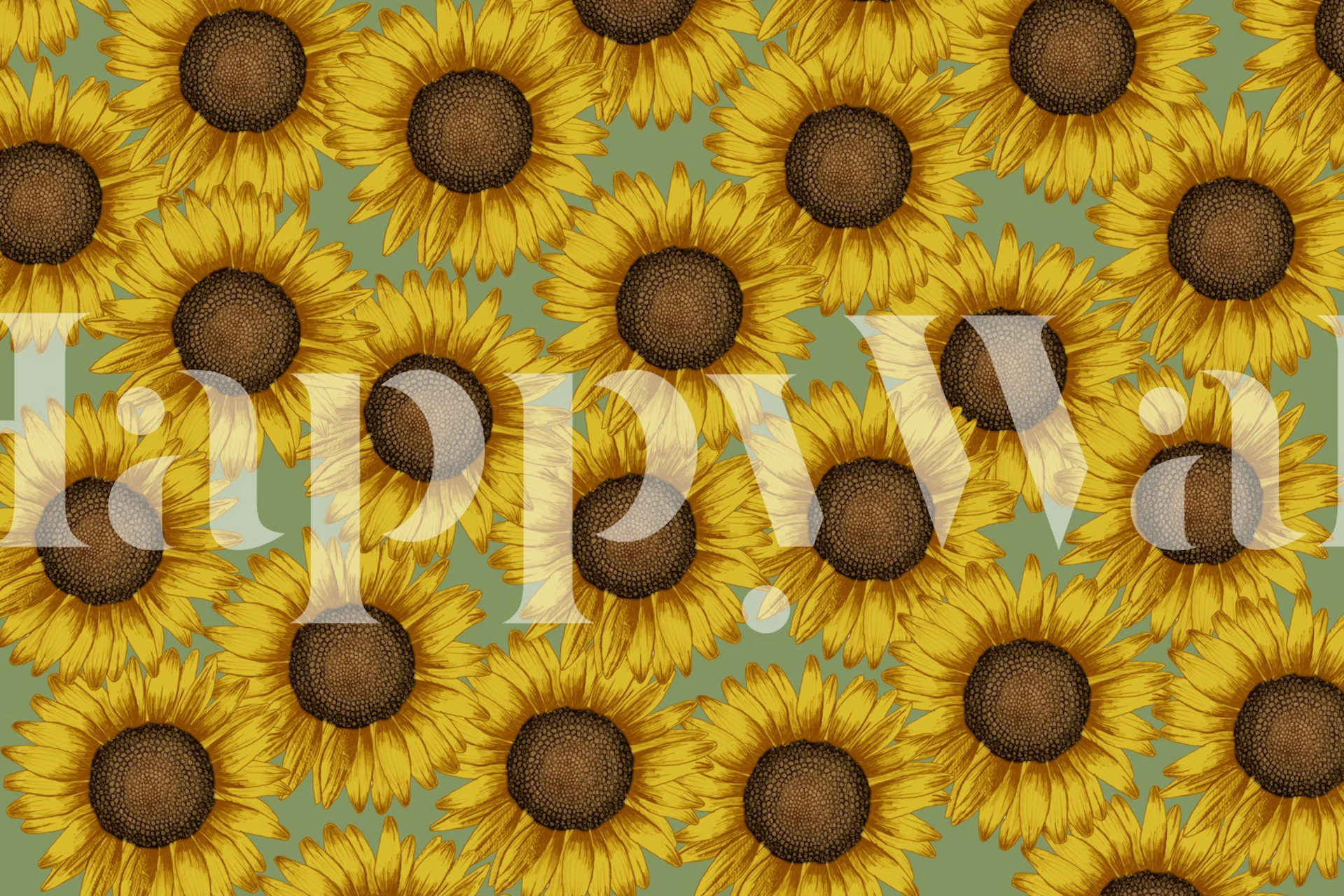 Sunflower Field - Sage Green wallpaper