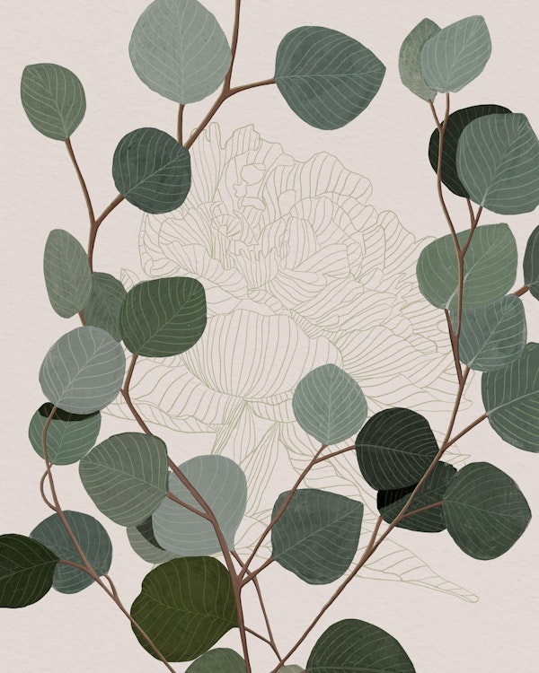 Round Eucalyptus Leaves and Peony Sketch