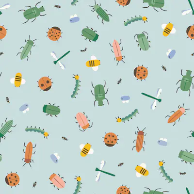 Pattern
