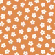Mini Meadow Burnt Apricot