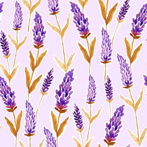 Watercolor Lavender Sprigs
