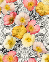 Graphic Poppy Collage Large tapety