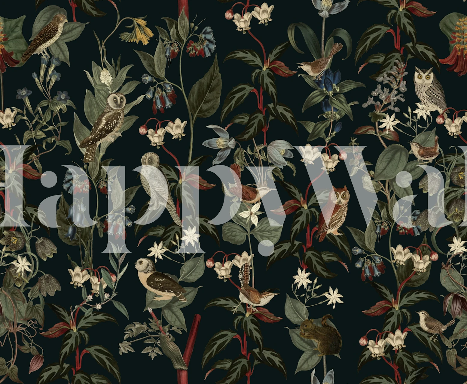 Dark owl and bird wallpaper in a room