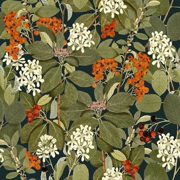 Rowanberry Dark