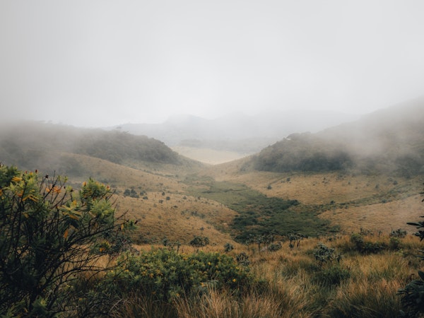 Tranquil Hills in Fog