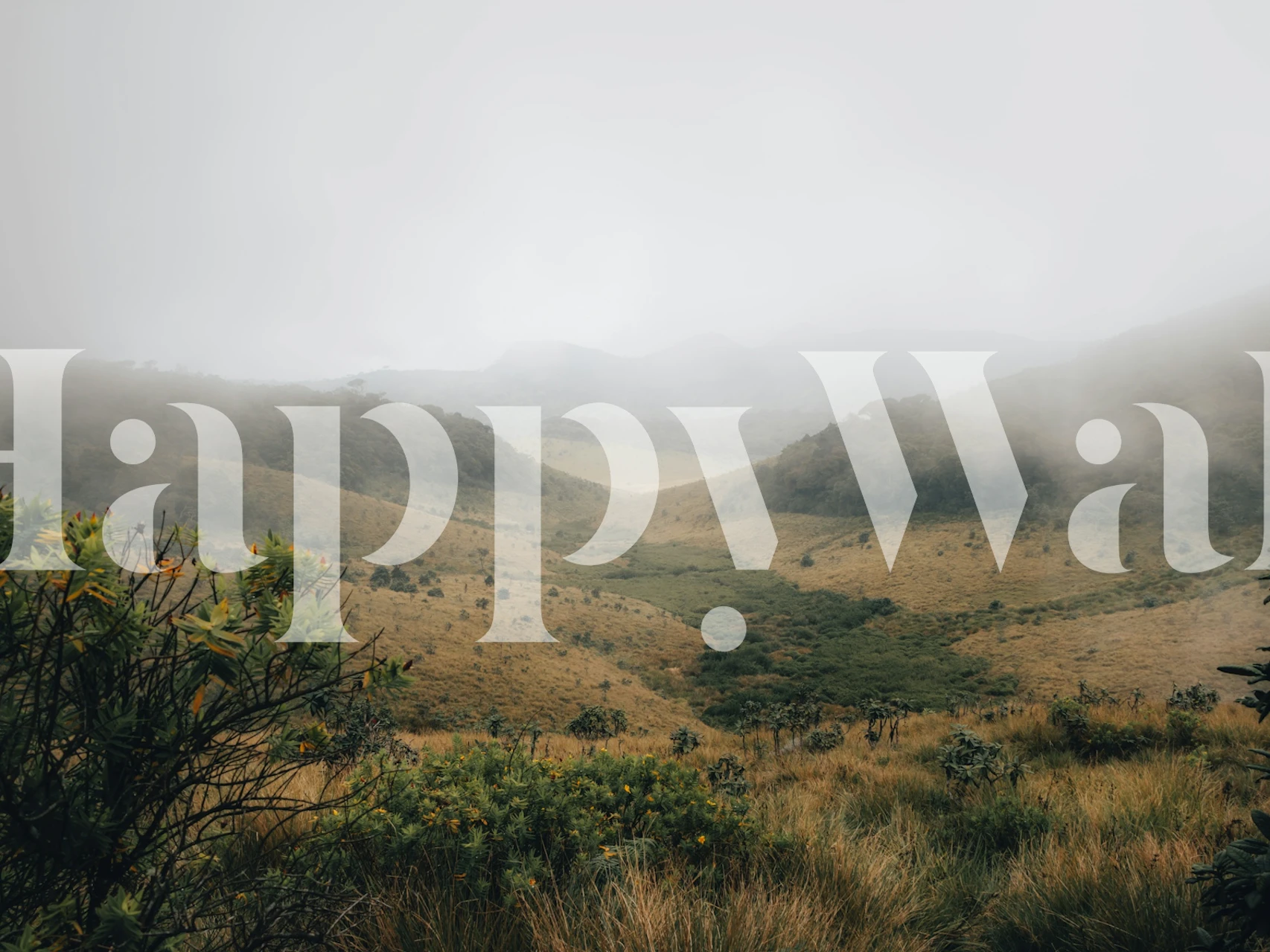 Foggy hills wallpaper in a calm room setting