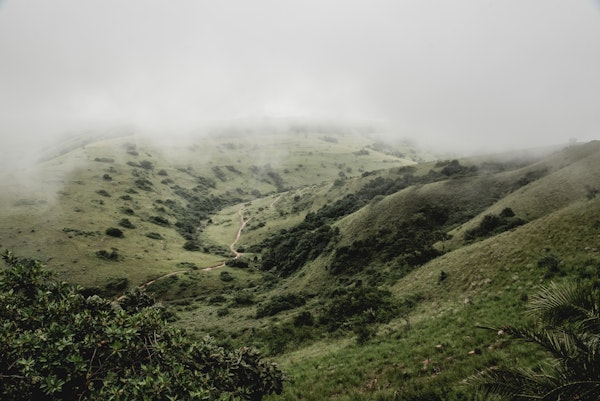 Calm Misty Heights
