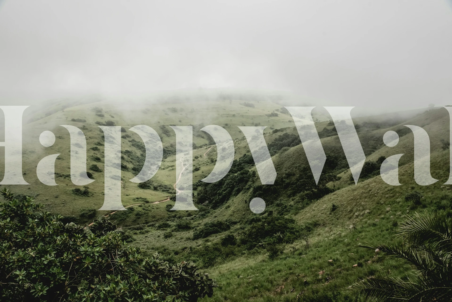 Calm Misty Heights tapet