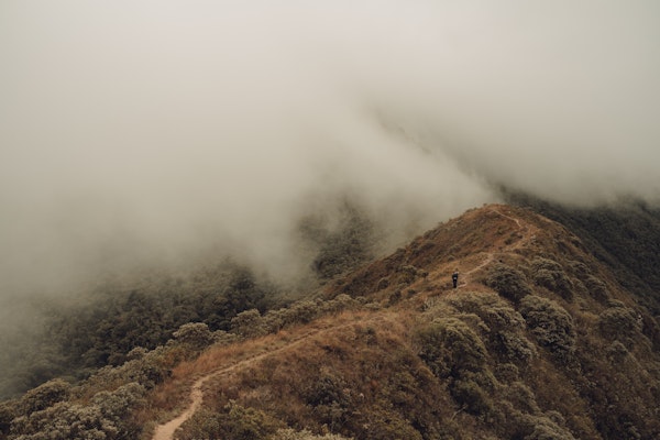 Wilderness Escape in Fog